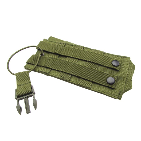 4-ar-152-case-green-back-molle